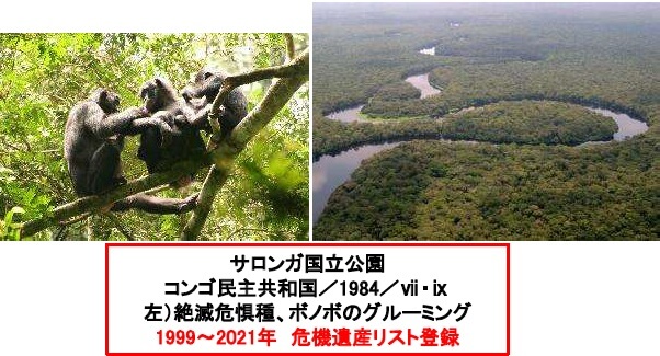 講座関連画像